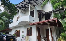 Nature Villa